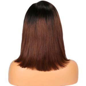 two tone lace front wig