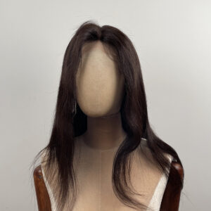 virgin hair high quality human hair lace front wig