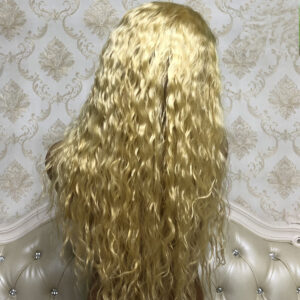 Brazilian hair full lace wigs