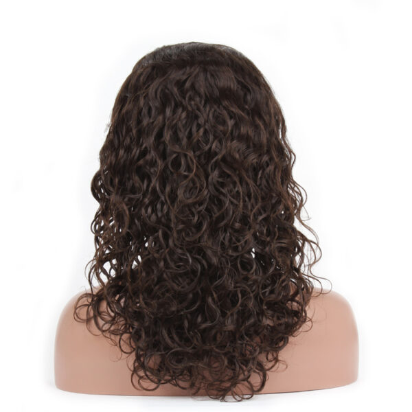 Raw Hair Lace Front Wig
